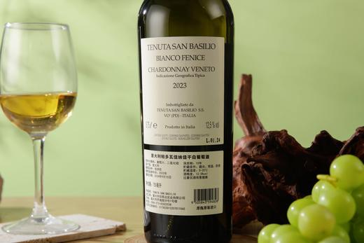 一箱 意大利帕多瓦特级佳纳佳干白葡萄酒 750ML 酒精度12.5%  原瓶原装进口 商品图7