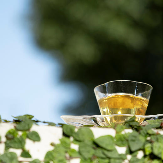 春日限定风味集｜萌春之生（单盒） 商品图3