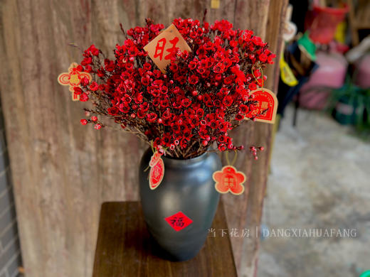 【AB级腊梅.都在这】一扎约3-6支/份 长约60-70cm 商品图6