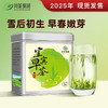 茶叶 绿茶 2025新茶 早春嫩芽 宜宾早茶 天府龙芽 川茶集团 茶饮 50g 商品缩略图0