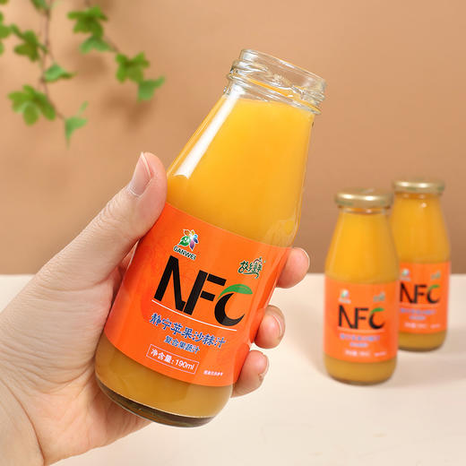 NFC  静宁苹果沙棘汁190ml*10瓶 商品图4