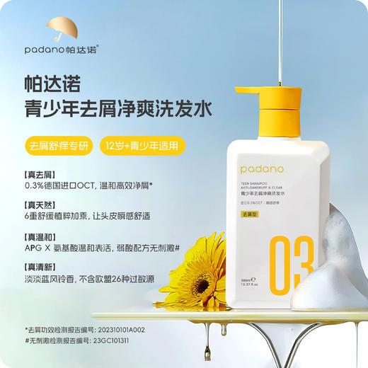 帕达诺12岁+青少年去屑洗发水380ml 商品图1