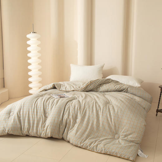 無印良品蚕宝四季被200*230cm 商品图1