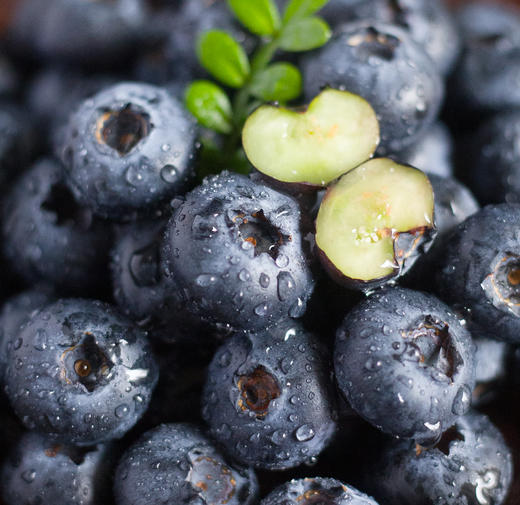 云南澄江品鉴级花香脆甜蓝莓 商品图2