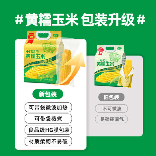 优选丨25年新玉米【香甜糯】东北糯玉米棒 8根装 近2个月内生产日期！软！糯！香！甜！ 商品图10