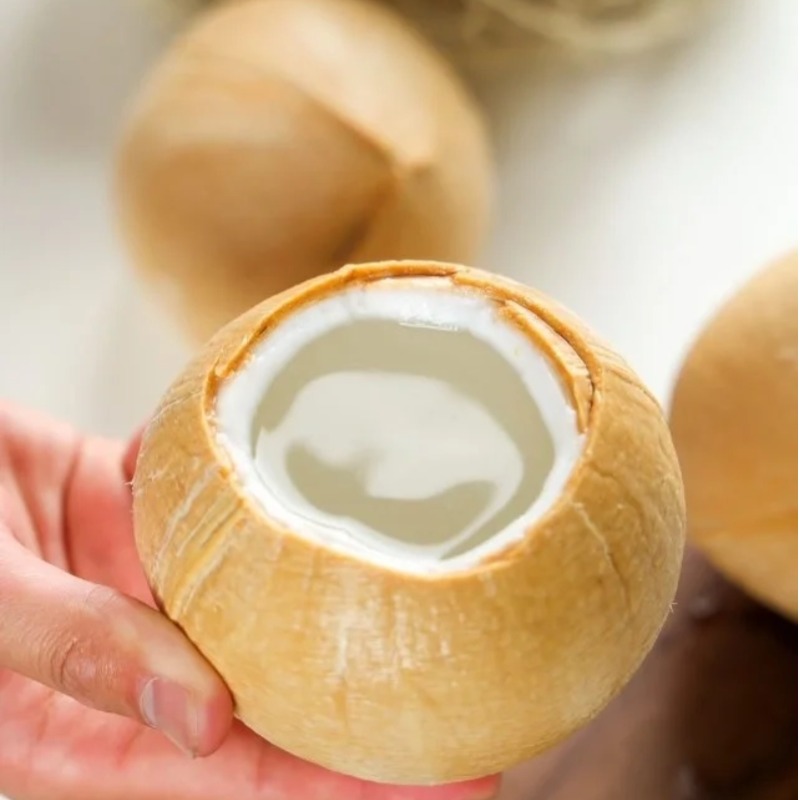 【顺丰/京东快递】泰国进口椰皇 新鲜水果 椰子 奶香椰皇  广州仓 CJYD