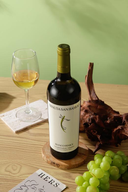 一箱 意大利帕多瓦特级佳纳佳干白葡萄酒 750ML 酒精度12.5%  原瓶原装进口 商品图5