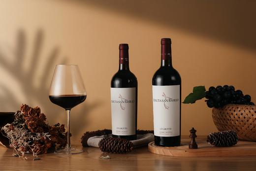 意大利帕多瓦梅洛干红葡萄酒 750ML 酒精度13.5%vol 原瓶原装进口 商品图2