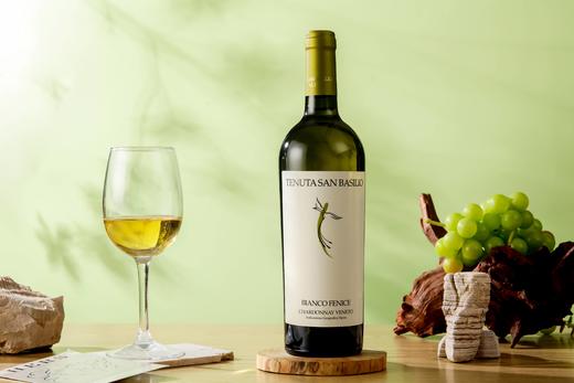 一箱 意大利帕多瓦特级佳纳佳干白葡萄酒 750ML 酒精度12.5%  原瓶原装进口 商品图2