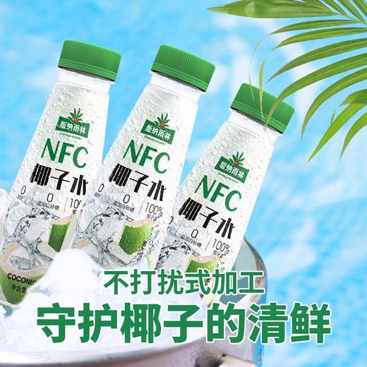版纳雨林椰子水350ml*12瓶【XPTX】 商品图3
