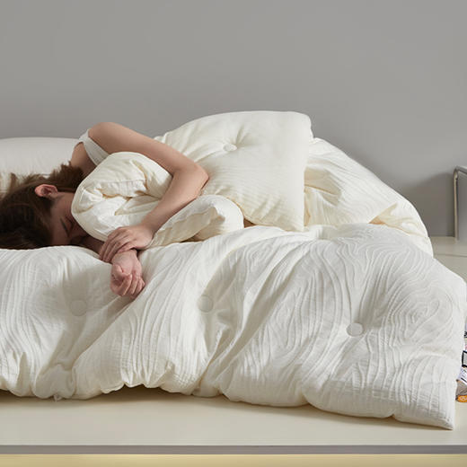 【A类大豆提花暗纹四季被】A类提花大豆纤维被芯柔软被子纯色暗纹被四季被冬被 商品图4