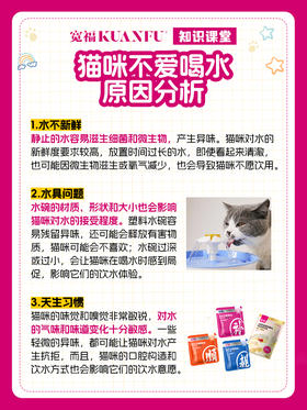 猫咪喝水难？别急，这里有妙招！