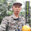 生态丹棱耙耙柑 | 合作生产 *Eco-Danling harrow orange | Partner Production 商品缩略图4