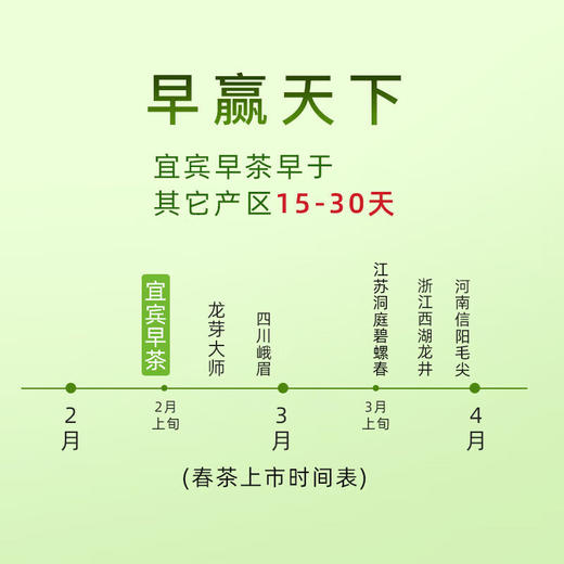 茶叶 绿茶 2025新茶 早春嫩芽 宜宾早茶 天府龙芽 川茶集团 茶饮 50g 商品图2