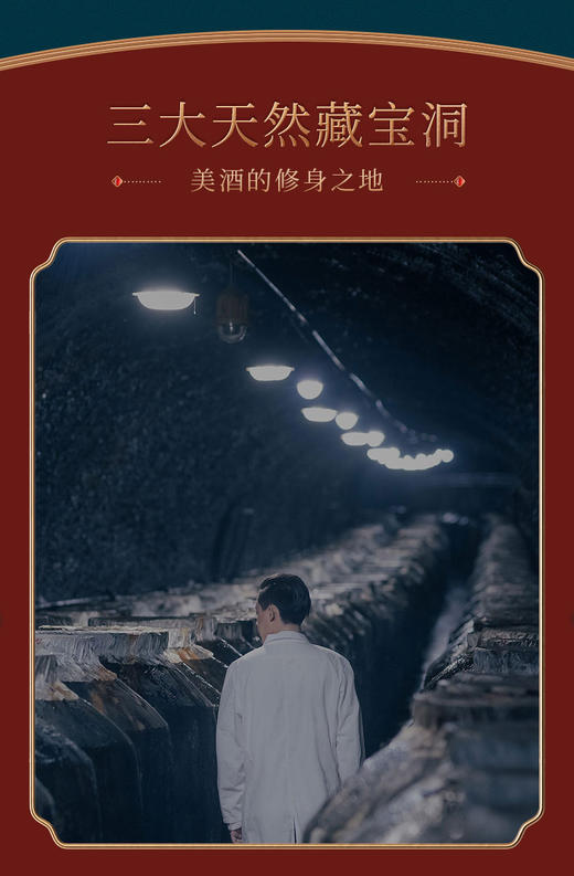 3L装国窖1573 商品图5