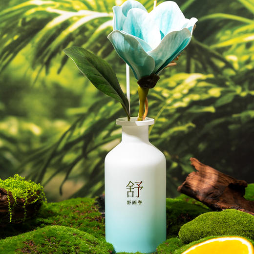 怡妮诗舒画卷无火藤条香氛150ml（241231） 商品图1