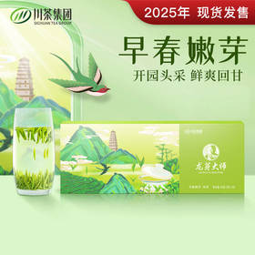 茶叶 绿茶 2025新茶 宜宾早茶 茶叶礼盒 龙芽大师 川茶集团 茶饮 60g