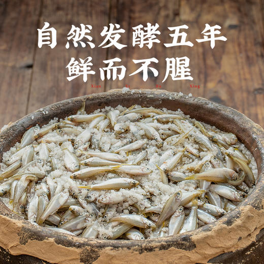 潮汕集锦5年鱼露初汤五年春礼盒装 商品图3