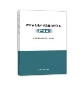 煤矿安全生产标准化管理体系 评分表