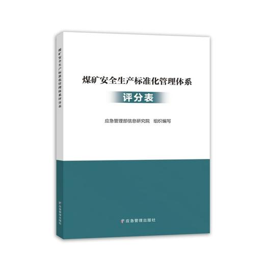 煤矿安全生产标准化管理体系 评分表 商品图0