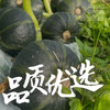 那园子贝贝南瓜日本惠和一号到货需多放几天沉糖多仓发货运费包邮 商品缩略图4