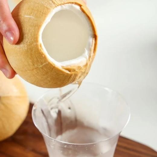 【顺丰/京东快递】泰国进口椰皇 新鲜水果 椰子 奶香椰皇  广州仓 CJYD 商品图1