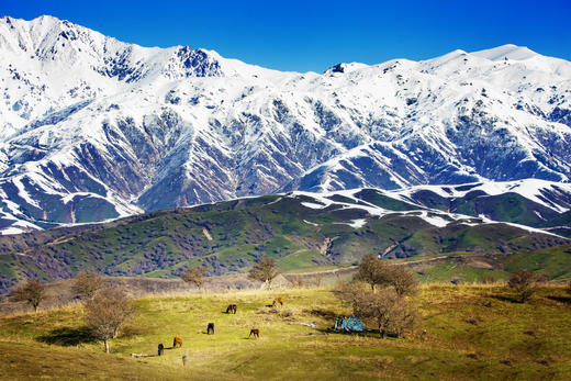 南疆春色：帕米尔高原、杏花村、中国西极村、塔吉克民族风情10天 商品图11