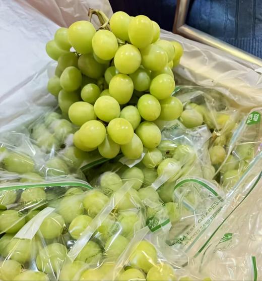 秋天脆青提 | 水果 商品图0