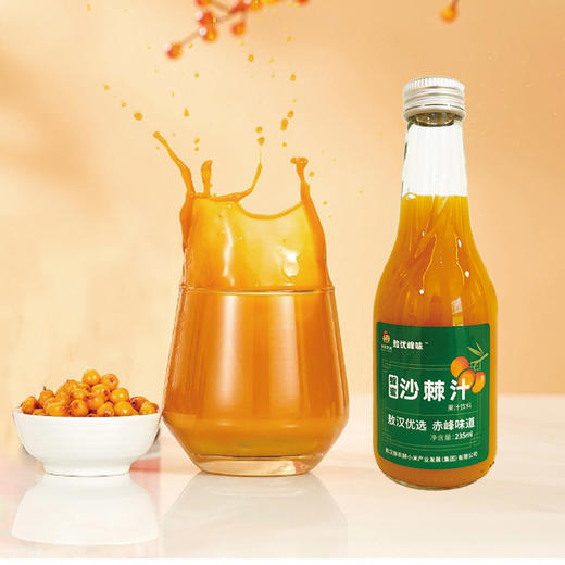 敖优峰味 蜂蜜沙棘汁235ml*6【XPTX】 商品图2