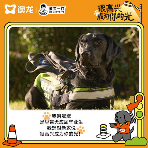 【很高兴成为你的光】诚实一口&澳龙导盲犬公益犬用联名礼盒 商品图1