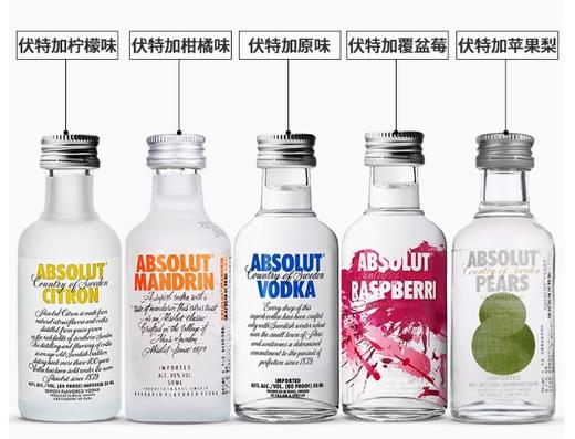 洋酒大全小酒版 商品图1