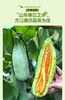 山东精品羊角蜜3斤/4.5斤 商品缩略图3