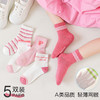 【工厂直发29.9/10双】儿童袜子A类夏季薄款棉袜婴儿宝宝春夏袜男童女童夏天春秋透气网眼袜 商品缩略图7