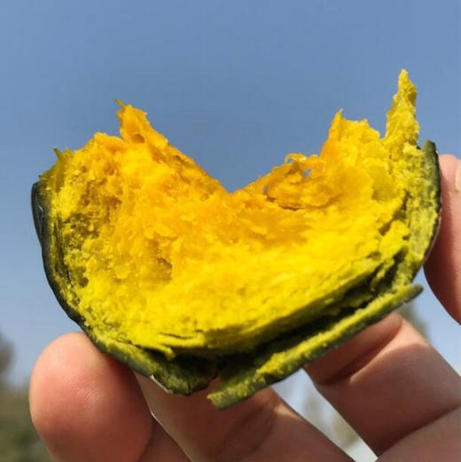 那园子贝贝南瓜日本惠和一号到货需多放几天沉糖多仓发货运费包邮 商品图6