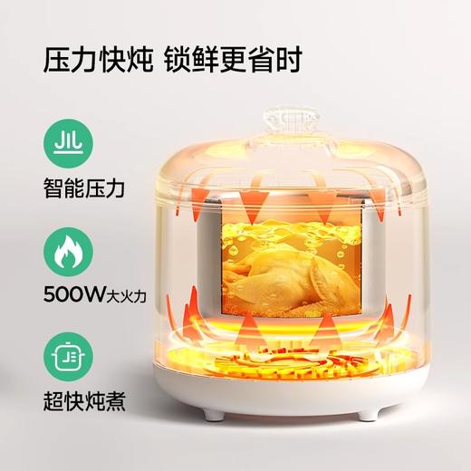 浦利顿辅食电压力锅不锈钢内胆婴儿宝宝迷你多功能高压锅辅食饭煲PLD-YBW20-70-18A 商品图1