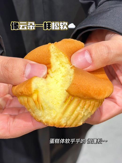 脱脂奶蛋糕  软软的 奶奶的 商品图4