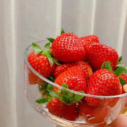 丹东草莓（40枚）约2斤 | 水果 商品图1