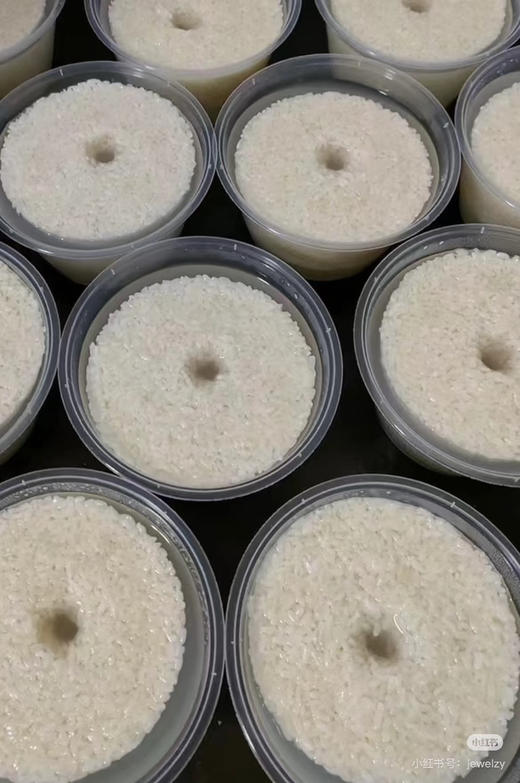 沙奶奶纯手工酒酿 商品图3