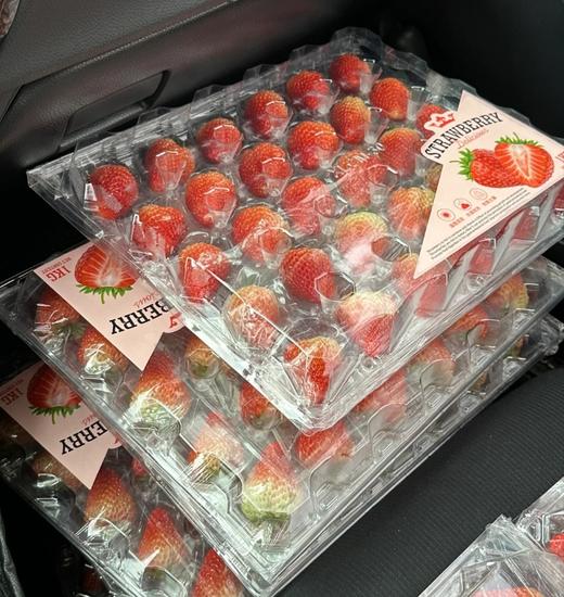 丹东草莓（40枚）约2斤 | 水果 商品图3
