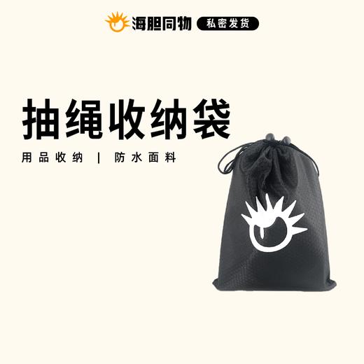 海胆同物 情趣用品收纳袋 Logo定制款 24x19cm 商品图0
