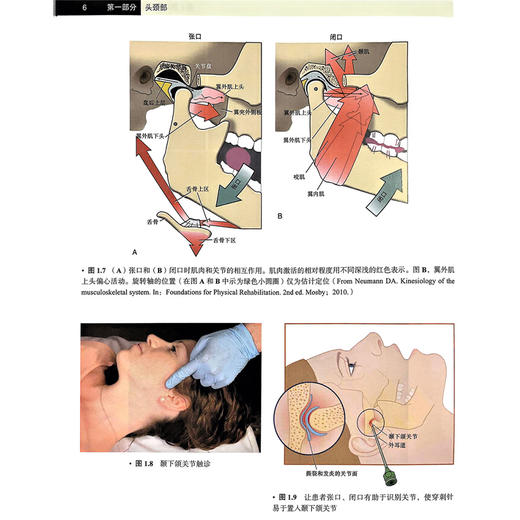 疼痛介入治疗图谱 第5五版 本书着重于疼痛治疗注射技术的细节 涵盖了17种全新的注射技术 刘国凯 吴安石等译 北京大学医学出版社 商品图4
