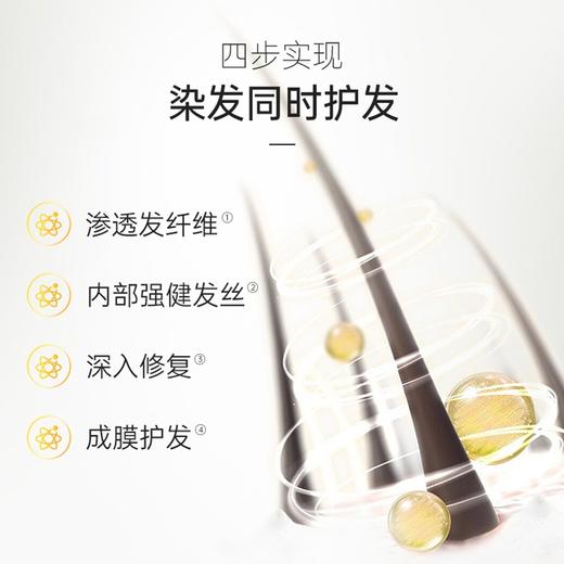 圣诗婷经典染发剂 | 欧洲进口水解小麦蛋白、染发不伤发、无需漂色、在家染发省心省力 商品图6