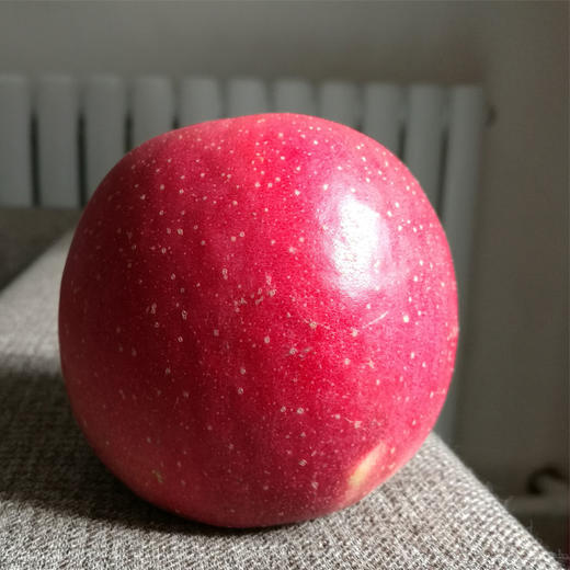 地理标志产品 正宗陕西旬邑马栏红红富士苹果礼盒装  陕西旬邑—中国苹果之乡 自然生长不打蜡香甜多汁皮薄肉脆 商品图2