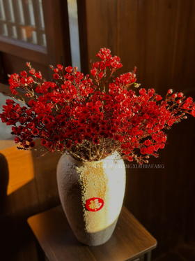 【AB级腊梅.都在这】一扎约3-6支/份 长约60-70cm