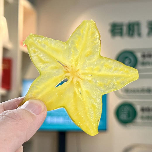 升级顺丰发货 满两箱减5元再送酸梅粉 【福建漳州杨桃 树上熟大果 】杨桃水果新鲜3斤 大果当季树上熟 清甜多汁 商品图1