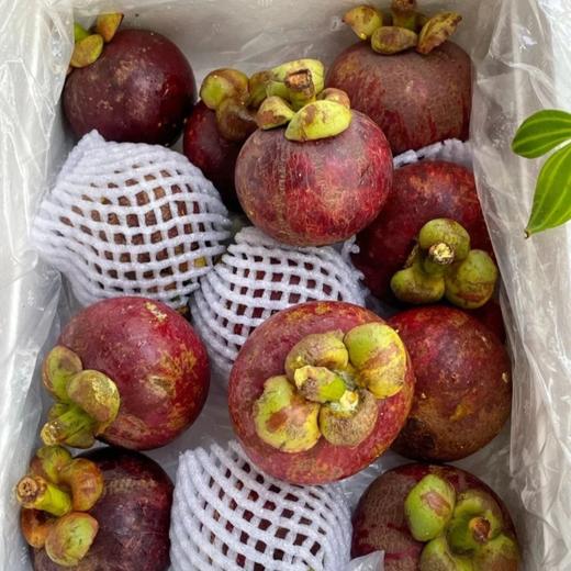 【顺丰快递】泰国进口山竹 新鲜水果 热带时令水果 - CJYD 商品图9