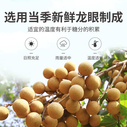 方家铺子 灯笼桂圆肉300g/瓶装 商品图6