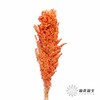永生花 | 高梁橙色 商品缩略图0