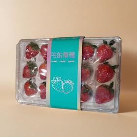 丹东九九草莓 约300g/盒