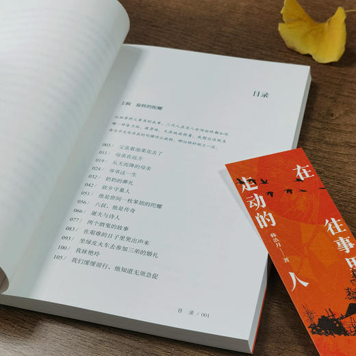 在往事里走动的人  韩浩月 商品图2